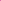 MEET ACROSS 5ml Pink Dried Flower Gel Nail — Close-Up Detail | Nevorea
